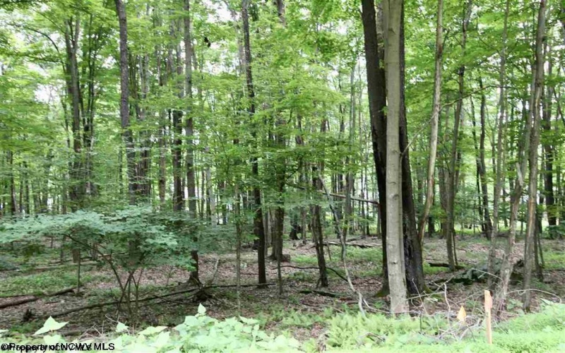 Lots 153-154 Clover Drive, Terra Alta, West Virginia 26764, ,Lots/land,For Sale,Clover,10164981