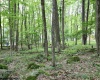 Lots 153-154 Clover Drive, Terra Alta, West Virginia 26764, ,Lots/land,For Sale,Clover,10164981