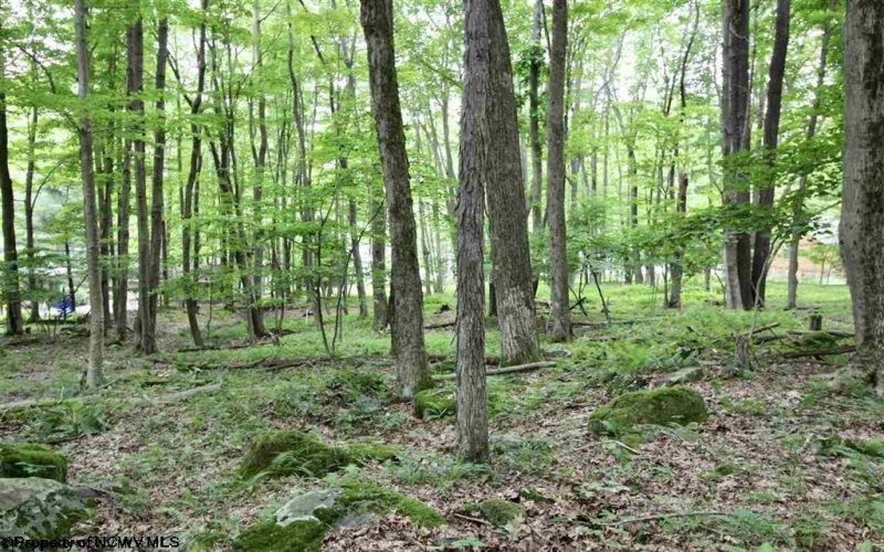 Lots 153-154 Clover Drive, Terra Alta, West Virginia 26764, ,Lots/land,For Sale,Clover,10164981