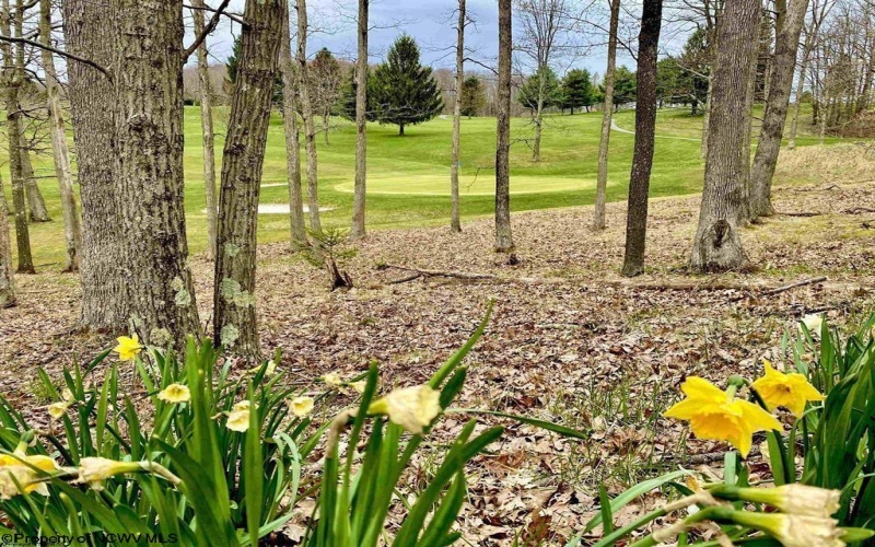 Lots 153-154 Clover Drive, Terra Alta, West Virginia 26764, ,Lots/land,For Sale,Clover,10164981