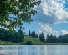 Lots 153-154 Clover Drive, Terra Alta, West Virginia 26764, ,Lots/land,For Sale,Clover,10164981
