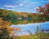 Lots 153-154 Clover Drive, Terra Alta, West Virginia 26764, ,Lots/land,For Sale,Clover,10164981