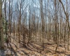 Lots 153-154 Clover Drive, Terra Alta, West Virginia 26764, ,Lots/land,For Sale,Clover,10164981