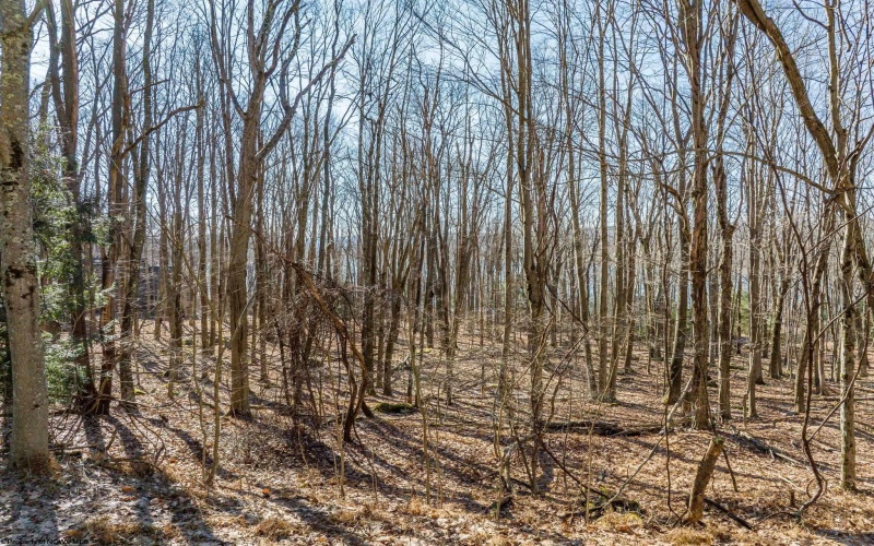 Lots 153-154 Clover Drive, Terra Alta, West Virginia 26764, ,Lots/land,For Sale,Clover,10164981