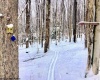 Lots 153-154 Clover Drive, Terra Alta, West Virginia 26764, ,Lots/land,For Sale,Clover,10164981