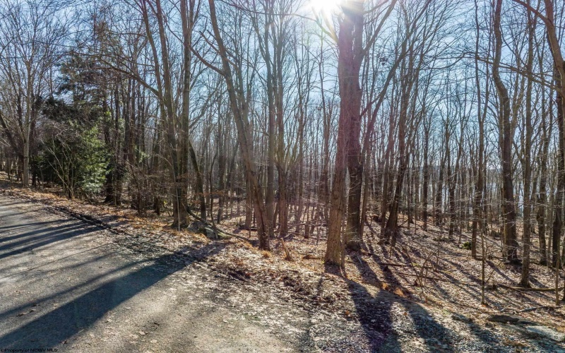 Lots 153-154 Clover Drive, Terra Alta, West Virginia 26764, ,Lots/land,For Sale,Clover,10164981