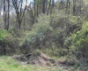 TBD Rush Road, Carmichaels, Pennsylvania 15320, ,Lots/land,For Sale,Rush,10164982