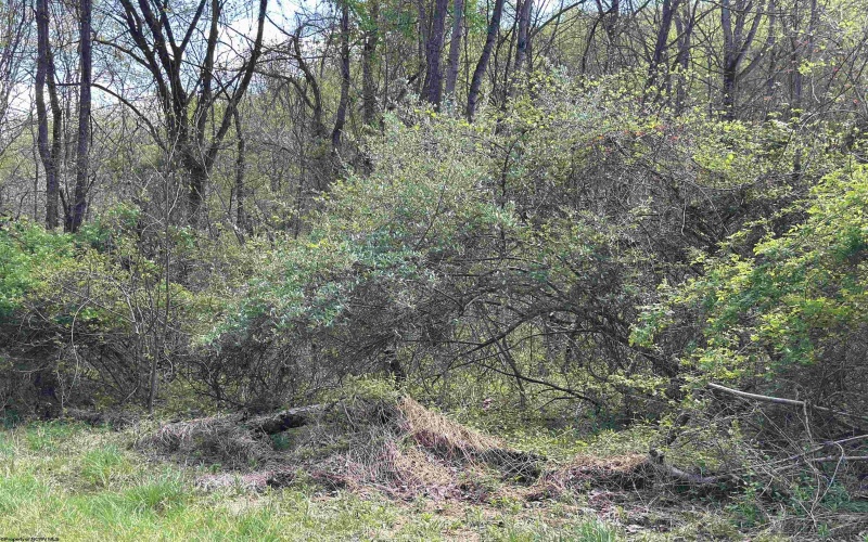 TBD Rush Road, Carmichaels, Pennsylvania 15320, ,Lots/land,For Sale,Rush,10164982