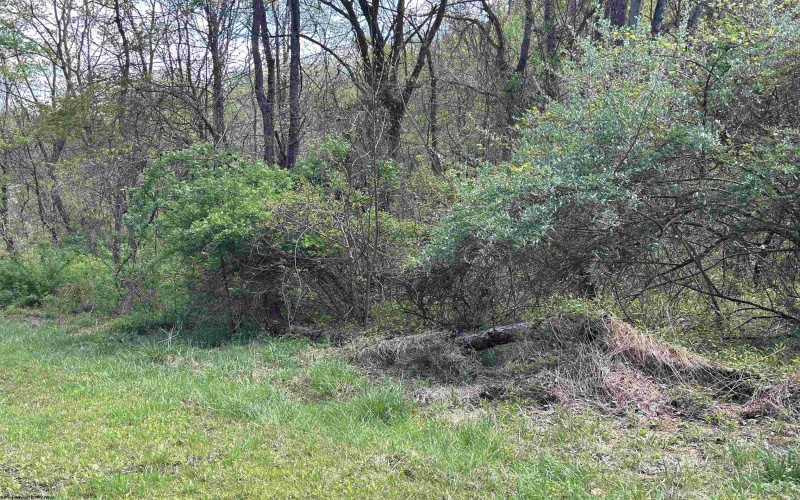 TBD Rush Road, Carmichaels, Pennsylvania 15320, ,Lots/land,For Sale,Rush,10164982