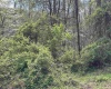 TBD Rush Road, Carmichaels, Pennsylvania 15320, ,Lots/land,For Sale,Rush,10164982