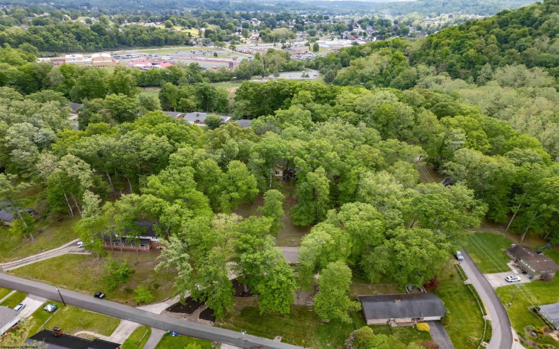 1250 Briercliff Road, Bridgeport, West Virginia 26330, 3 Bedrooms Bedrooms, 9 Rooms Rooms,2 BathroomsBathrooms,Single Family Detached,For Sale,Briercliff,10164973