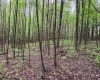 Lot 103 Laurel Loop, Bruceton Mills, West Virginia 26525, ,Lots/land,For Sale,Laurel,10164988