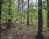 Lot 103 Laurel Loop, Bruceton Mills, West Virginia 26525, ,Lots/land,For Sale,Laurel,10164988