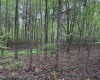 Lot 103 Laurel Loop, Bruceton Mills, West Virginia 26525, ,Lots/land,For Sale,Laurel,10164988