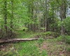 Lot 103 Laurel Loop, Bruceton Mills, West Virginia 26525, ,Lots/land,For Sale,Laurel,10164988