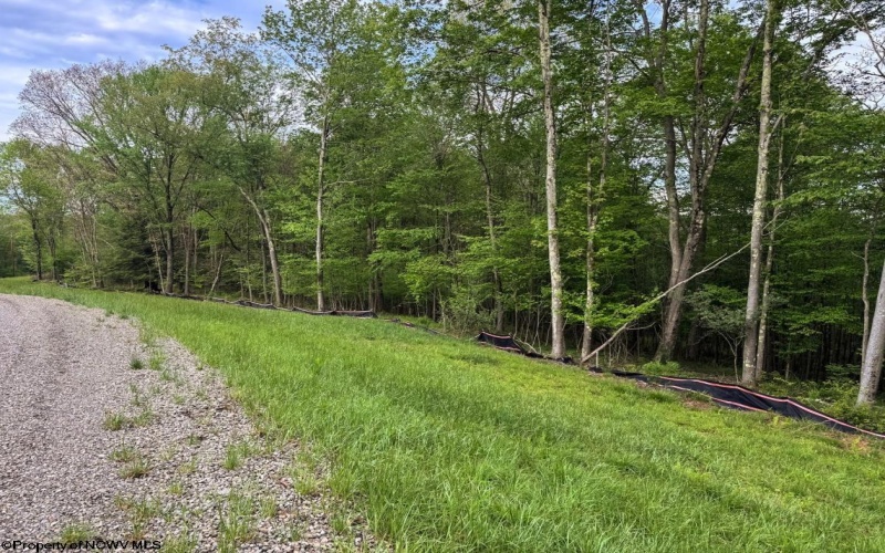 Lot 103 Laurel Loop, Bruceton Mills, West Virginia 26525, ,Lots/land,For Sale,Laurel,10164988