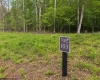 Lot 103 Laurel Loop, Bruceton Mills, West Virginia 26525, ,Lots/land,For Sale,Laurel,10164988
