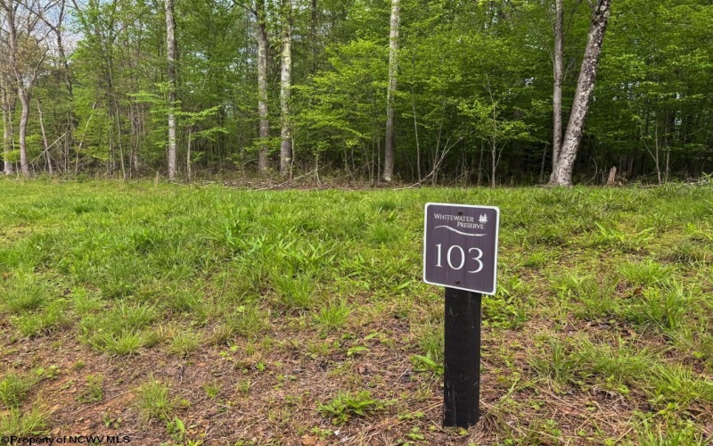 Lot 103 Laurel Loop, Bruceton Mills, West Virginia 26525, ,Lots/land,For Sale,Laurel,10164988