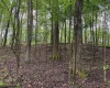 Lot 103 Laurel Loop, Bruceton Mills, West Virginia 26525, ,Lots/land,For Sale,Laurel,10164988