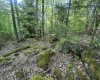 Lot 4 Tuscan Ridge Road, Davis, West Virginia 26260, ,Lots/land,For Sale,Tuscan Ridge,10164990