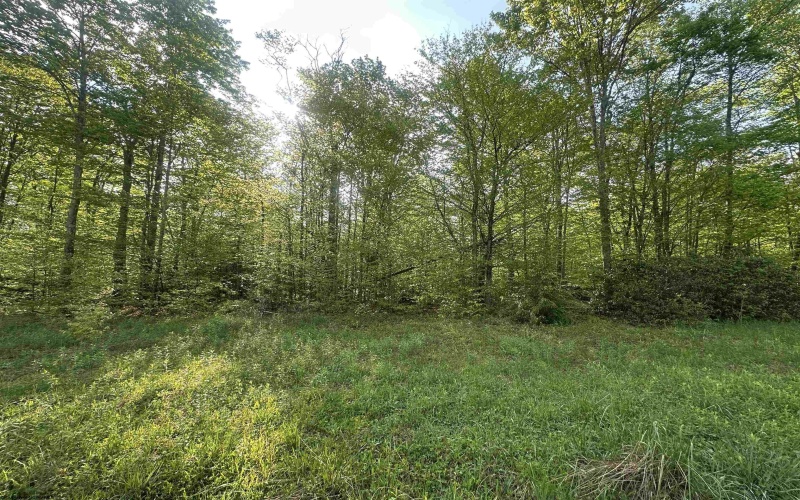 Lot 4 Tuscan Ridge Road, Davis, West Virginia 26260, ,Lots/land,For Sale,Tuscan Ridge,10164990