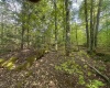 Lot 4 Tuscan Ridge Road, Davis, West Virginia 26260, ,Lots/land,For Sale,Tuscan Ridge,10164990