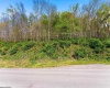 00 Preston Highway, Bruceton Mills, West Virginia 26525, ,Lots/land,For Sale,Preston,10164995