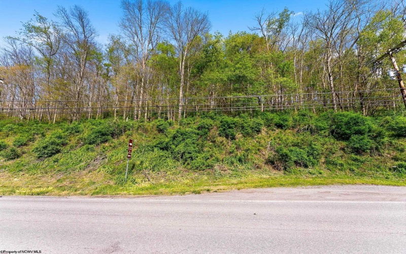 00 Preston Highway, Bruceton Mills, West Virginia 26525, ,Lots/land,For Sale,Preston,10164995