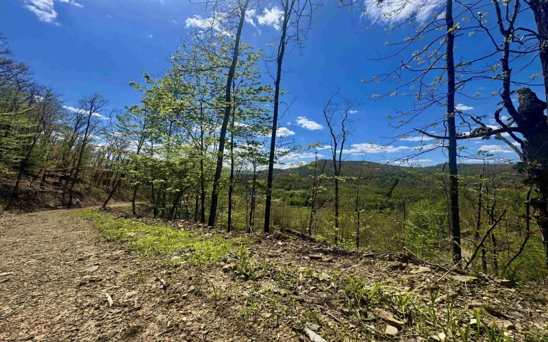 TBD Staunton Parkersburg Turnpike, Durbin, West Virginia 26264, ,Lots/land,For Sale,Staunton Parkersburg,10164996