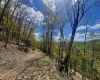 TBD Staunton Parkersburg Turnpike, Durbin, West Virginia 26264, ,Lots/land,For Sale,Staunton Parkersburg,10164996
