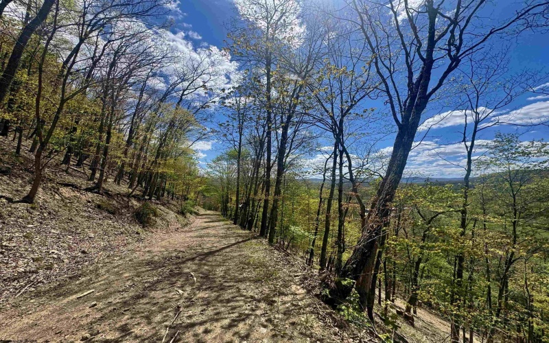 TBD Staunton Parkersburg Turnpike, Durbin, West Virginia 26264, ,Lots/land,For Sale,Staunton Parkersburg,10164996