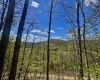 TBD Staunton Parkersburg Turnpike, Durbin, West Virginia 26264, ,Lots/land,For Sale,Staunton Parkersburg,10164996