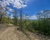 TBD Staunton Parkersburg Turnpike, Durbin, West Virginia 26264, ,Lots/land,For Sale,Staunton Parkersburg,10164996