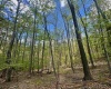 TBD Staunton Parkersburg Turnpike, Durbin, West Virginia 26264, ,Lots/land,For Sale,Staunton Parkersburg,10164996