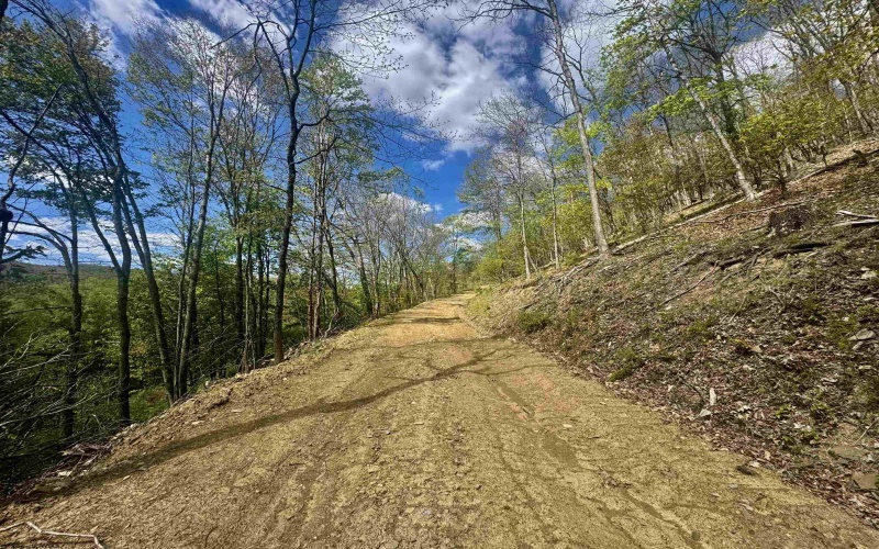 TBD Staunton Parkersburg Turnpike, Durbin, West Virginia 26264, ,Lots/land,For Sale,Staunton Parkersburg,10164996