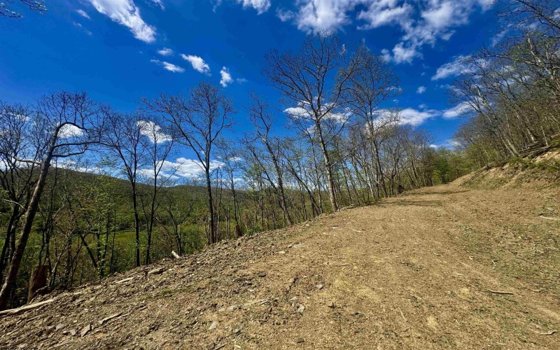 TBD Staunton Parkersburg Turnpike, Durbin, West Virginia 26264, ,Lots/land,For Sale,Staunton Parkersburg,10164996