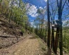 TBD Staunton Parkersburg Turnpike, Durbin, West Virginia 26264, ,Lots/land,For Sale,Staunton Parkersburg,10164996