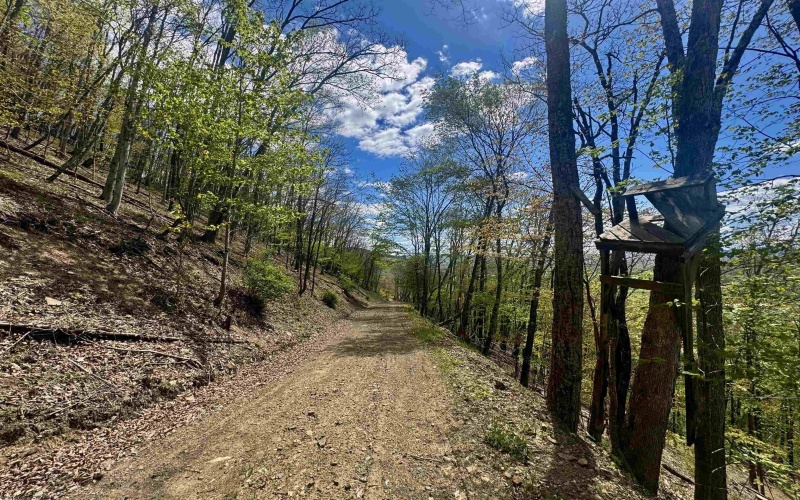 TBD Staunton Parkersburg Turnpike, Durbin, West Virginia 26264, ,Lots/land,For Sale,Staunton Parkersburg,10164996