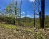 TBD Staunton Parkersburg Turnpike, Durbin, West Virginia 26264, ,Lots/land,For Sale,Staunton Parkersburg,10164996