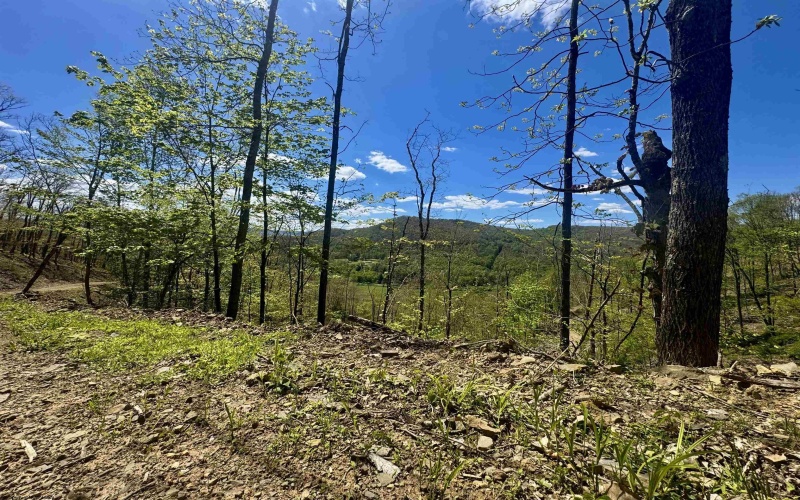 TBD Staunton Parkersburg Turnpike, Durbin, West Virginia 26264, ,Lots/land,For Sale,Staunton Parkersburg,10164996
