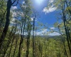 TBD Staunton Parkersburg Turnpike, Durbin, West Virginia 26264, ,Lots/land,For Sale,Staunton Parkersburg,10164996