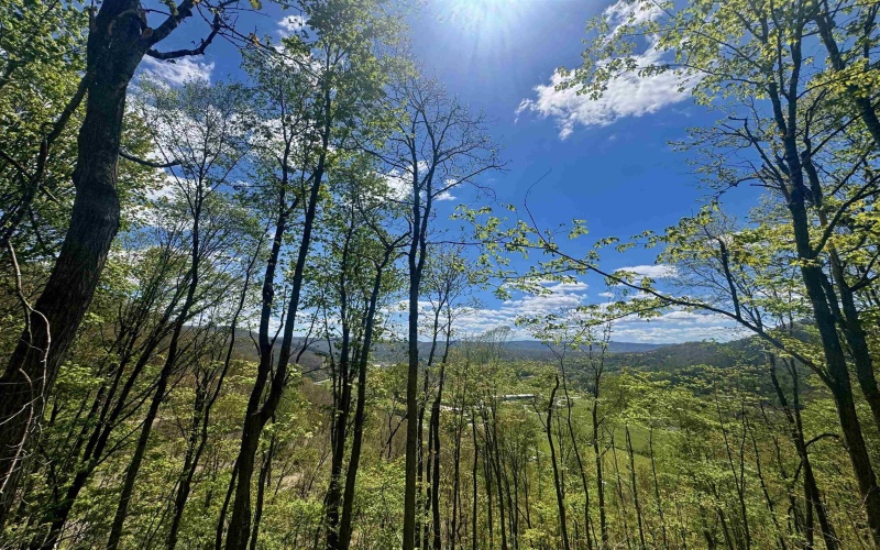 TBD Staunton Parkersburg Turnpike, Durbin, West Virginia 26264, ,Lots/land,For Sale,Staunton Parkersburg,10164996