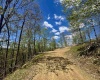 TBD Staunton Parkersburg Turnpike, Durbin, West Virginia 26264, ,Lots/land,For Sale,Staunton Parkersburg,10164996