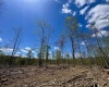 TBD Staunton Parkersburg Turnpike, Durbin, West Virginia 26264, ,Lots/land,For Sale,Staunton Parkersburg,10164996