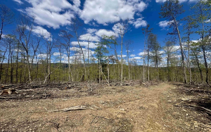 TBD Staunton Parkersburg Turnpike, Durbin, West Virginia 26264, ,Lots/land,For Sale,Staunton Parkersburg,10164996