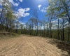 TBD Staunton Parkersburg Turnpike, Durbin, West Virginia 26264, ,Lots/land,For Sale,Staunton Parkersburg,10164996