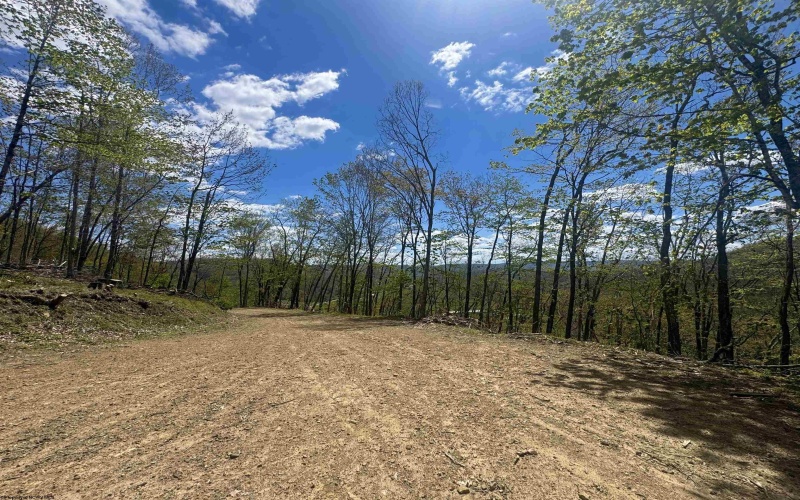TBD Staunton Parkersburg Turnpike, Durbin, West Virginia 26264, ,Lots/land,For Sale,Staunton Parkersburg,10164996