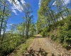 TBD Staunton Parkersburg Turnpike, Durbin, West Virginia 26264, ,Lots/land,For Sale,Staunton Parkersburg,10164996