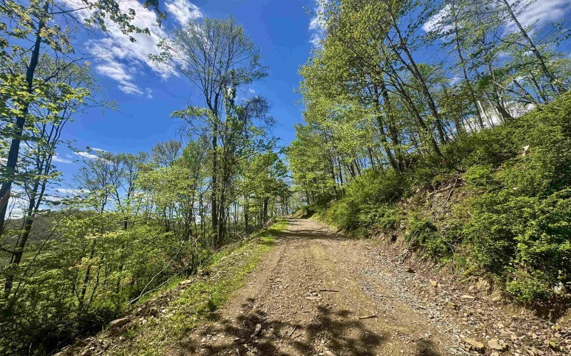 TBD Staunton Parkersburg Turnpike, Durbin, West Virginia 26264, ,Lots/land,For Sale,Staunton Parkersburg,10164996