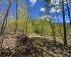 TBD Staunton Parkersburg Turnpike, Durbin, West Virginia 26264, ,Lots/land,For Sale,Staunton Parkersburg,10164996